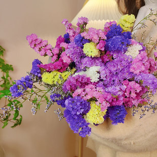 【云南基地直发】勿忘我半干花真花鲜花鲜艳花束风干客厅装饰摆件