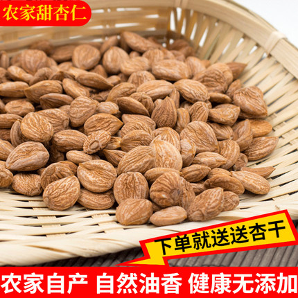 甘肃庆阳宁县特产生的曹杏仁 原味油香散装5斤无壳甜杏仁坚果新品