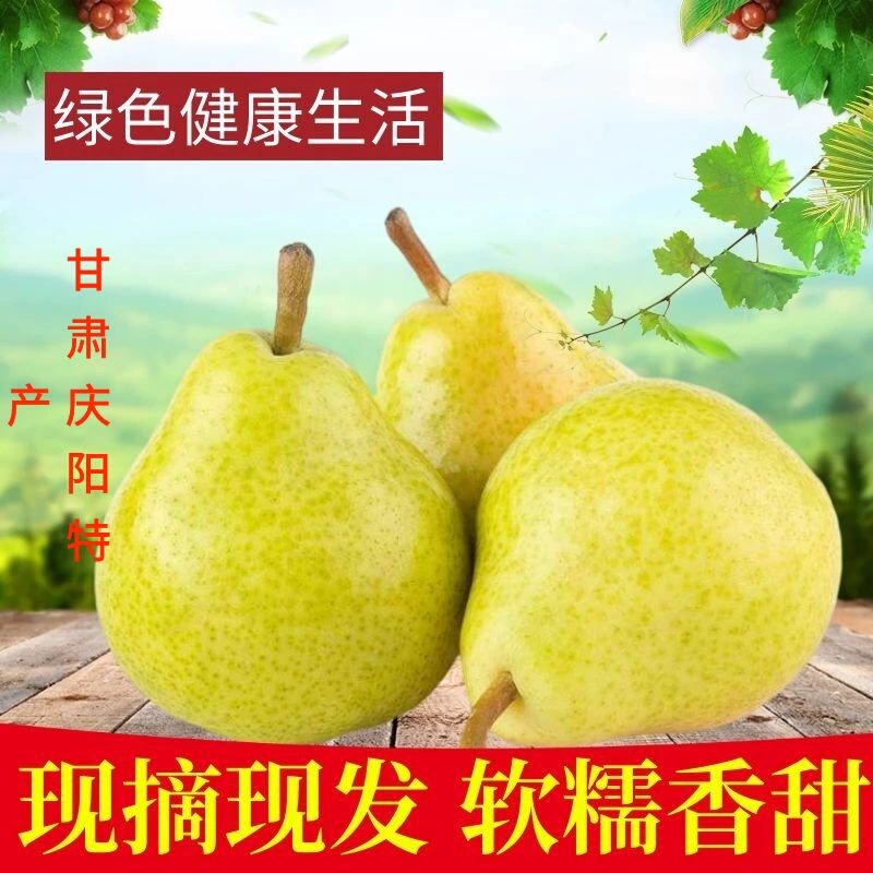 甘肃庆阳香蕉梨现摘新鲜水果太婆酥梨茄梨大头黄鸭梨葫芦洋梨10斤