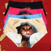 印图小猫咪一片内裤 冰丝青春少女三角裤 合适75至100斤女生色随抽