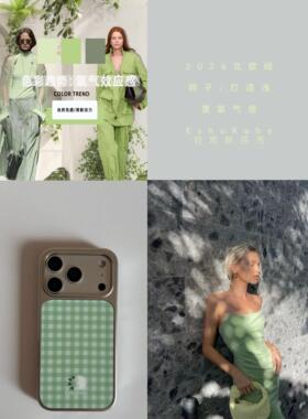 2026春夏新品鸽子北欧ins高级感冷淡风简约浅绿格苹果iphone17promax手机壳16plus原创15磁吸银边14