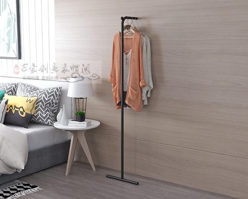 房间金属多功能现代简约挂衣架