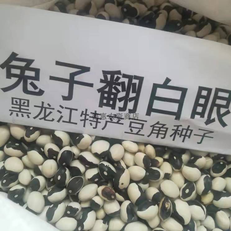 东北翻白眼喜鹊豆豆包邮种子