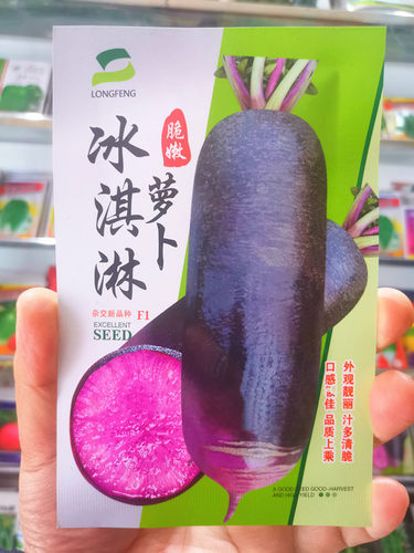 东北大萝卜种子籽冰淇淋甜脆萝卜紫萝卜种子水果萝卜好100粒左右