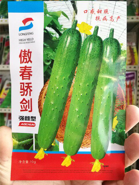蔬菜种子旱黄瓜种子傲春骄剑早熟家庭园艺种子