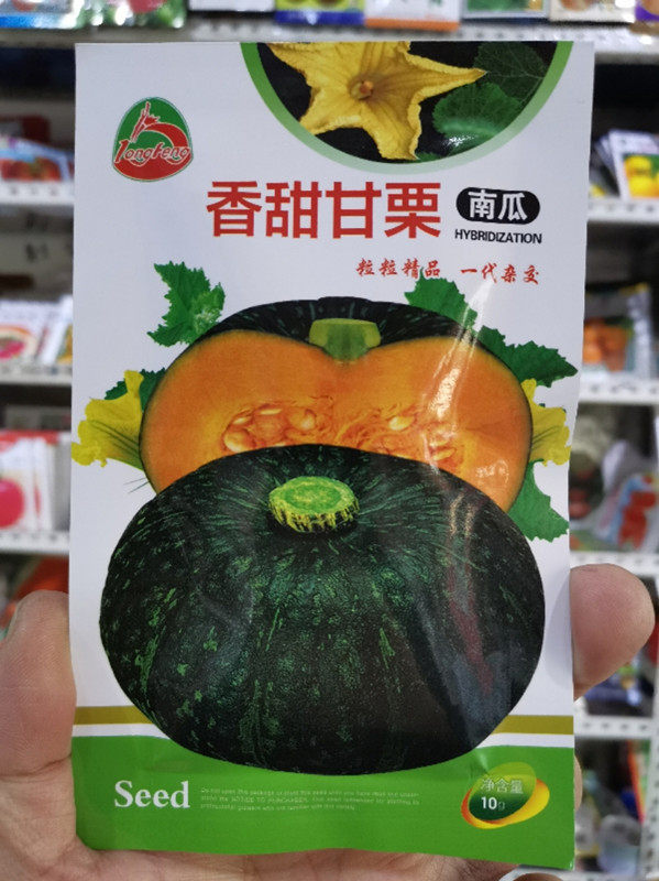 东北种子倭瓜种子窝瓜种子南瓜甘甜面瓜香甜甘栗种子包邮
