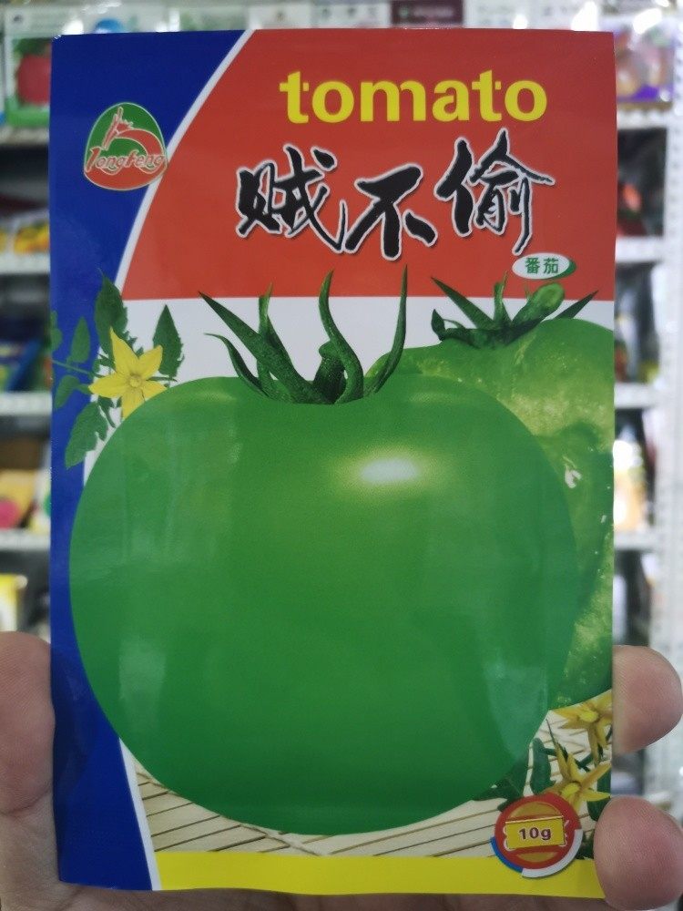 绿色蔬菜 西红柿柿子种子籽 绿柿子 贼不偷 绿又甜300粒包邮