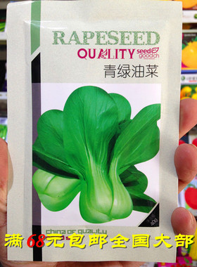 佳木斯龙丰种子日本油菜青油菜杂交品种产量高20克满包邮