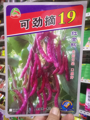佳木斯龙丰种子油豆角种子红金钩鼓豆角可劲摘19号100克 包邮
