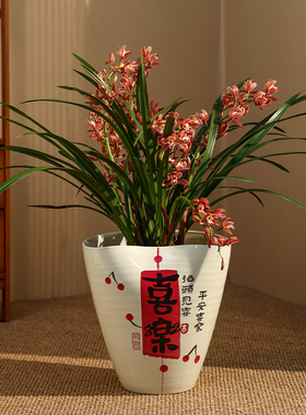 陶瓷花盆轻奢高级感家用手绘新中式冬青兰花流泉枫龟背竹大号花盆