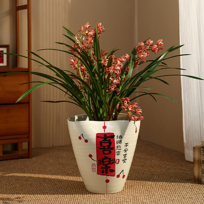 陶瓷花盆轻奢高级感家用手绘