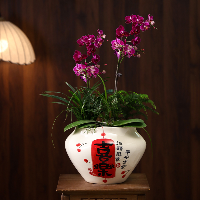 陶瓷花盆手绘喜乐轻奢高级感
