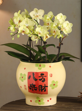中国风花盆陶瓷手绘八方来财高档大号发财树流泉枫蝴蝶兰绿植盆栽