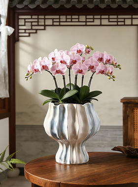 复古创意波浪纹陶瓷花盆客厅室内装饰梅花蝴蝶兰年宵花卉绿植盆栽