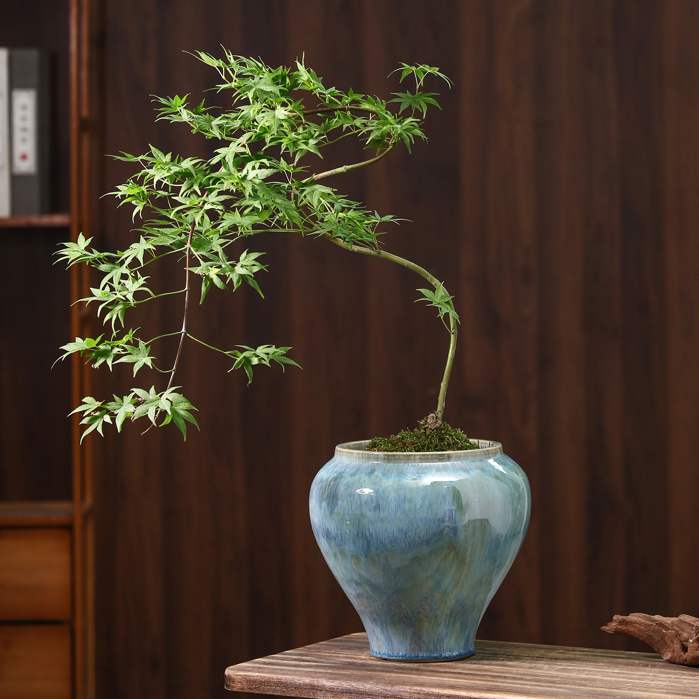 简约花盆陶瓷客厅家用流釉水墨兰流泉枫龟背竹绿植花卉专用盆栽