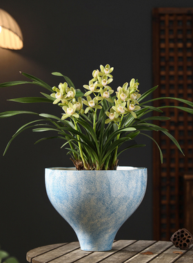 现代简约陶瓷花盆大口径高脚家用桌面蝴蝶兰梦香兰花专用绿植盆栽