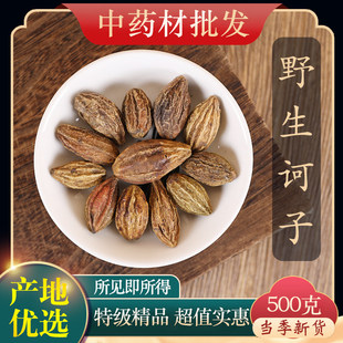 中药材精选野生诃子 柯子 柯黎勒 柯黎 随风子 大金果 500g克饲料