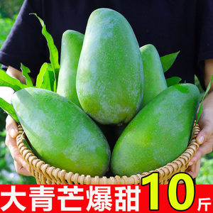 【爆甜多汁】大青芒新鲜10斤当季越南进口水果青皮甜心金煌芒整箱