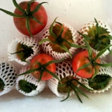 Аутентичный железо -кожа -кив