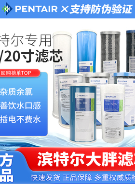 滨特尔前置大蓝瓶大胖10寸20寸PP棉RFC DFXDBC复合活性炭大白滤芯
