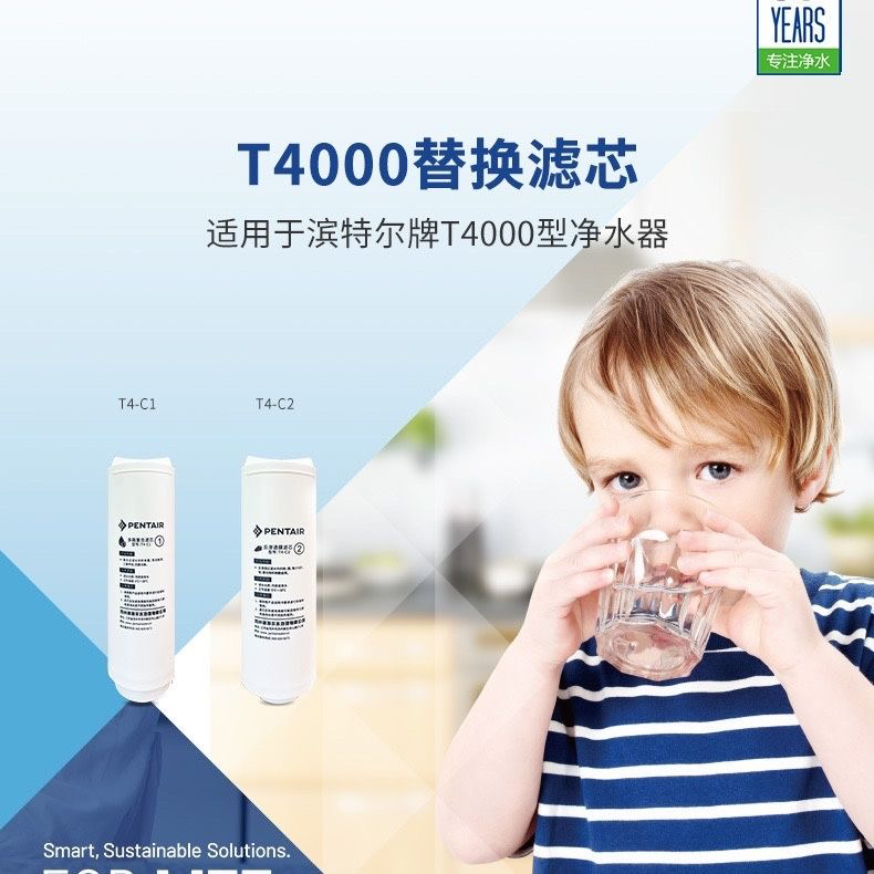 滨特尔滤芯通用T4000-a/T8000-a滤芯家用原厂净水器滤芯原装配件