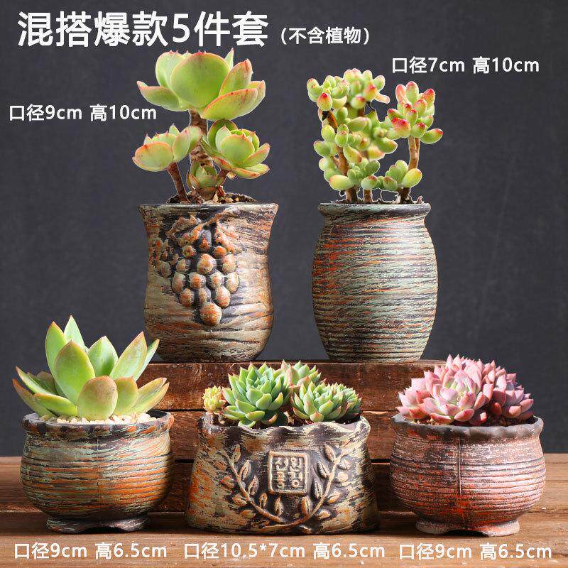 多肉花盆特价大小口径粗陶土创意老桩阳台肉肉植物家用盆清仓