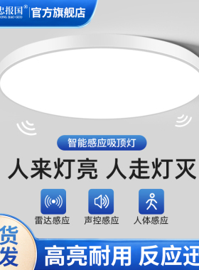 声光控感应吸顶灯楼梯过道走廊灯红外人体雷达智能声光控感应灯