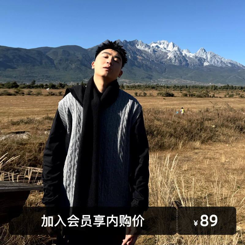 SANBAI 叁佰【老男孩马甲】麻花毛衣男款2025年秋冬新款针织背心