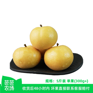 【芭芭农场】南水梨5斤单果300g+