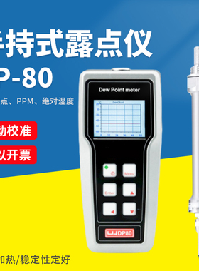 露点仪DP-80水分测量露点仪DP80手持式温湿度仪露点测试仪