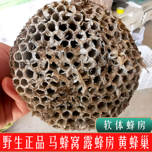 野生马蜂窝100g 山东沂蒙山正品黄蜂巢 软体马蜂窝露蜂房老蜂巢