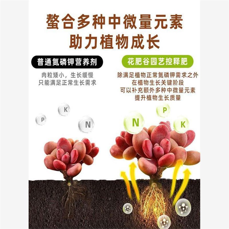 多肉专用肥c料缓释肥花卉植物通用型家用盆栽氮磷钾花肥营养控释