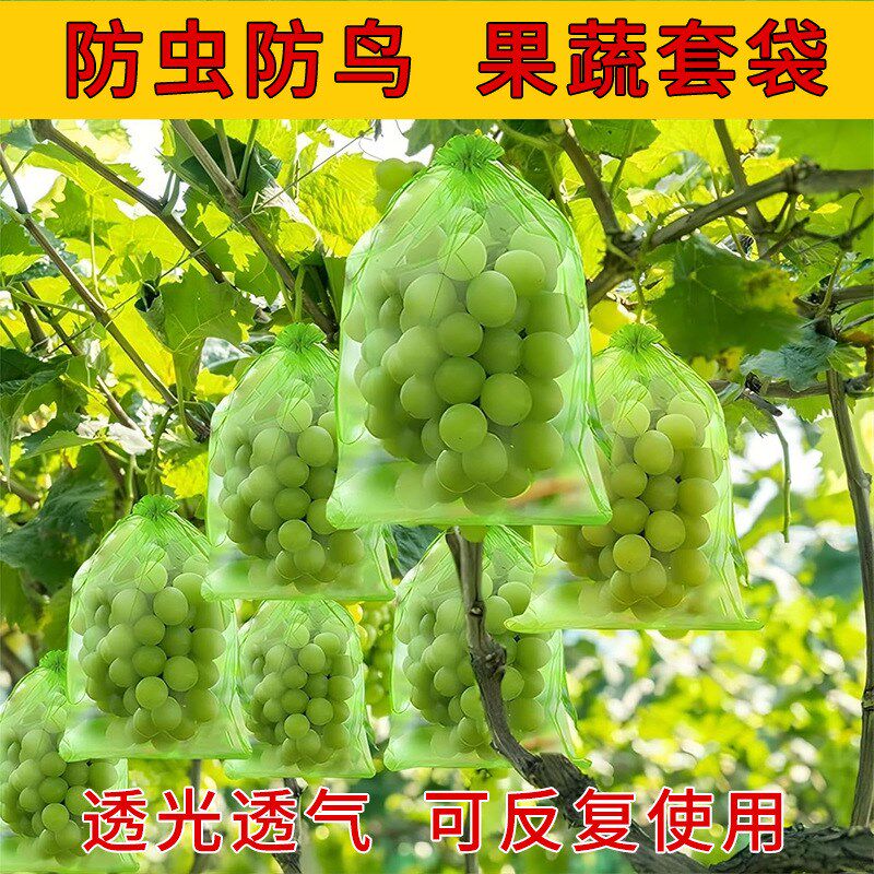 100个水果网套袋防虫防鸟纱网袋草莓套袋葡萄透T气套袋无花果套袋