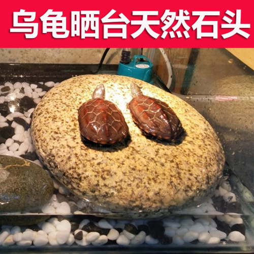 乌龟晒台天然鹅卵石浮岛晒背石