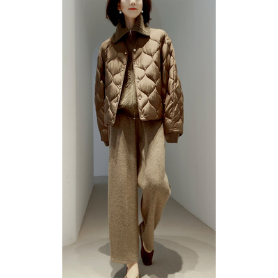 奢笈爆款！轻暖HUG【软壳真丝/高级细腻/充白鹅绒】简约/夹克羽绒