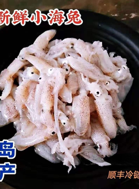 青岛特产水产小海兔鲜活笔管鱼小鱿鱼小墨鱼仔小乌鱼3斤包邮