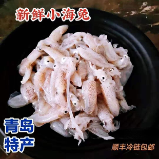青岛特产水产小海兔鲜活笔管鱼小鱿鱼小墨鱼仔小乌鱼3斤 包邮