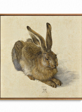 丢勒 Albrecht Durer 旁白艺术印画 文艺复兴大师版画 装饰画挂画