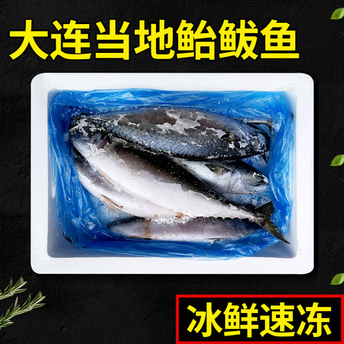 顺丰4斤鲐鲅鱼青鱼大连当地冰鲜速冻台巴鱼青占鱼花飞青花鱼鲱鱼