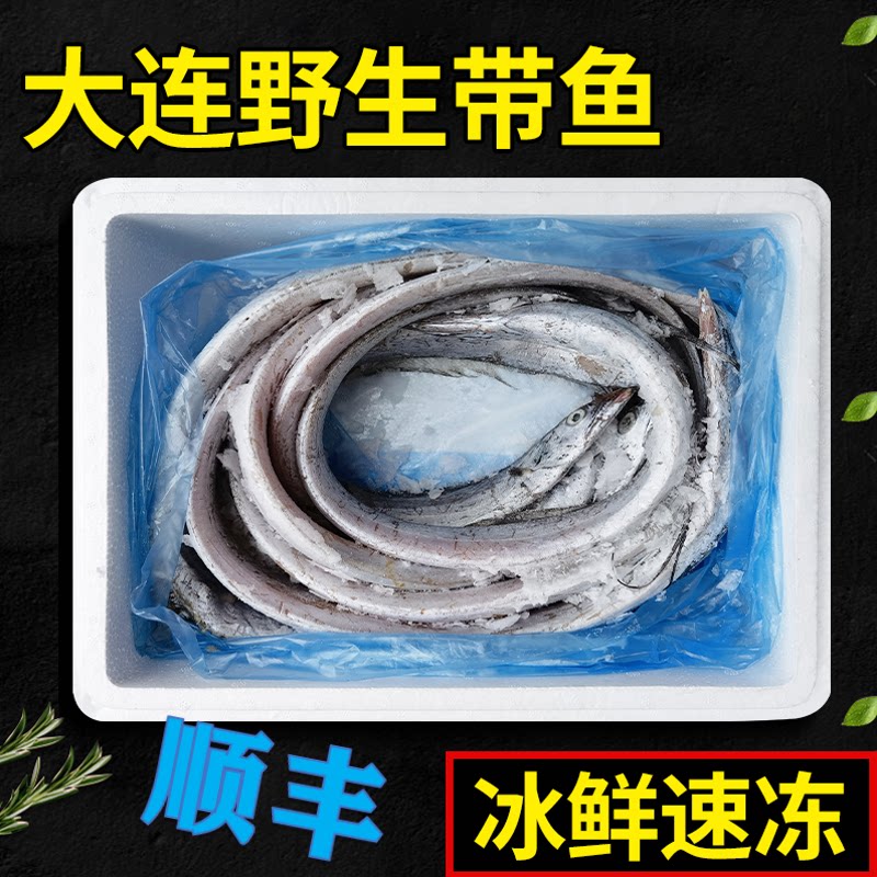 大连刀鱼渤海湾冰鲜速冻无冰衣图片