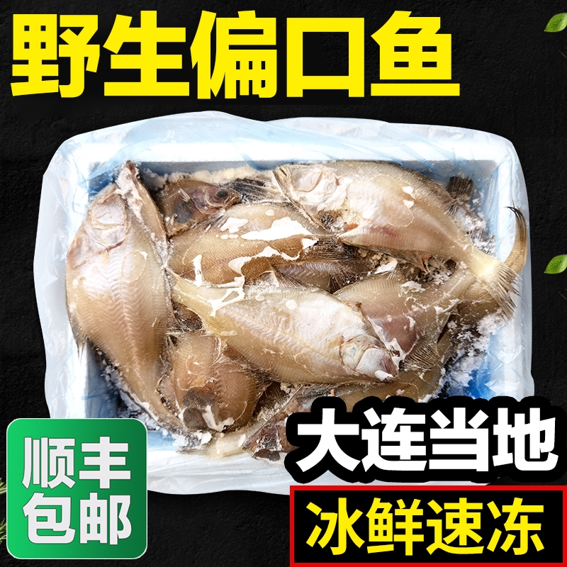 尚渔冰鲜速冻低利润高品质野生