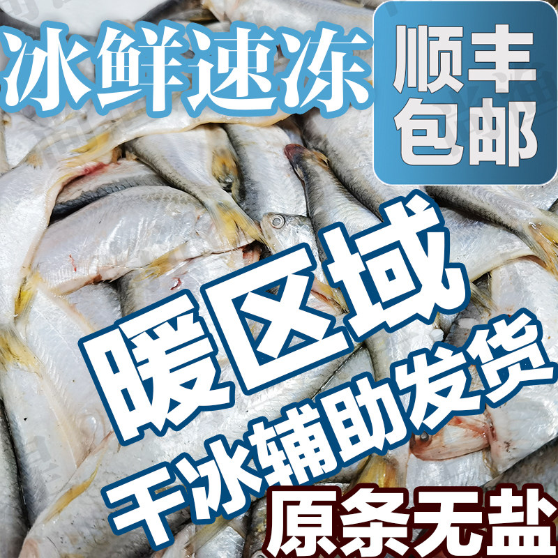 去头去脏油扣鱼黄鲫鱼顺丰包邮图片