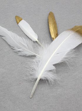 白色黑色烫喷金羽毛手工耳饰配件diy手工洛丽塔头饰Lolita翅膀