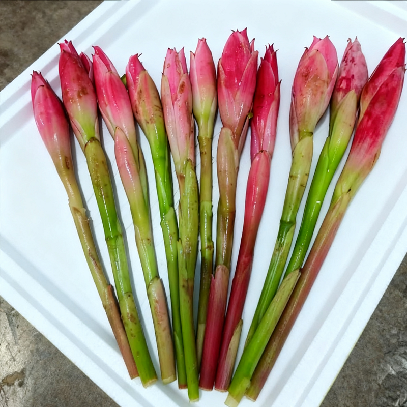 泰国菜娘惹菜可食用花卉南姜花瓷玫瑰花苞火炬姜花咖喱花越南特产
