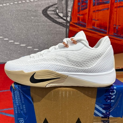 Nike耐克男鞋26春季S.T. FLARE EP训练篮球鞋运动鞋HF0232-100