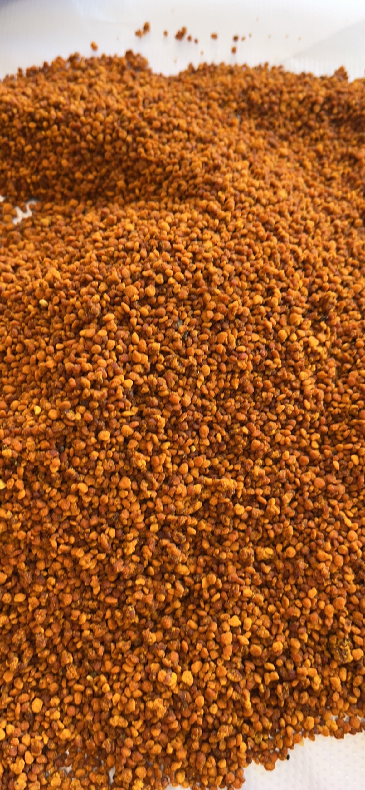 edible Camellia Pollen pure Farm Production fresh dilapidated wall Bee Pollen 500 A Jinin the Traditional nourishing food , Bee , Other bee  category - from Buy2taobao.com to provide professional Taobao agent buy service