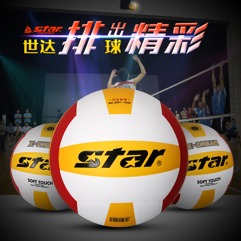 Ballon de volley-ball STAR - Ref 2007915 Image 2