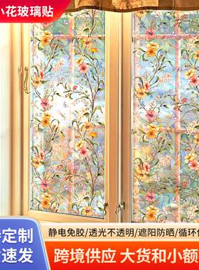 窗户改造专用化妆室浴室炫彩小花