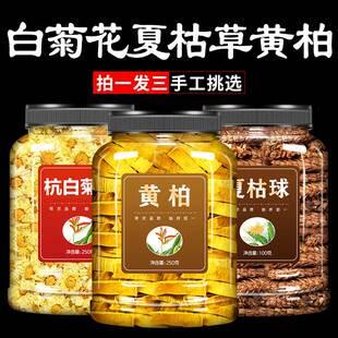 白菊花夏枯草黄柏茶中药材官方旗舰店正品 白毛夏菇草片夏枯球茶包