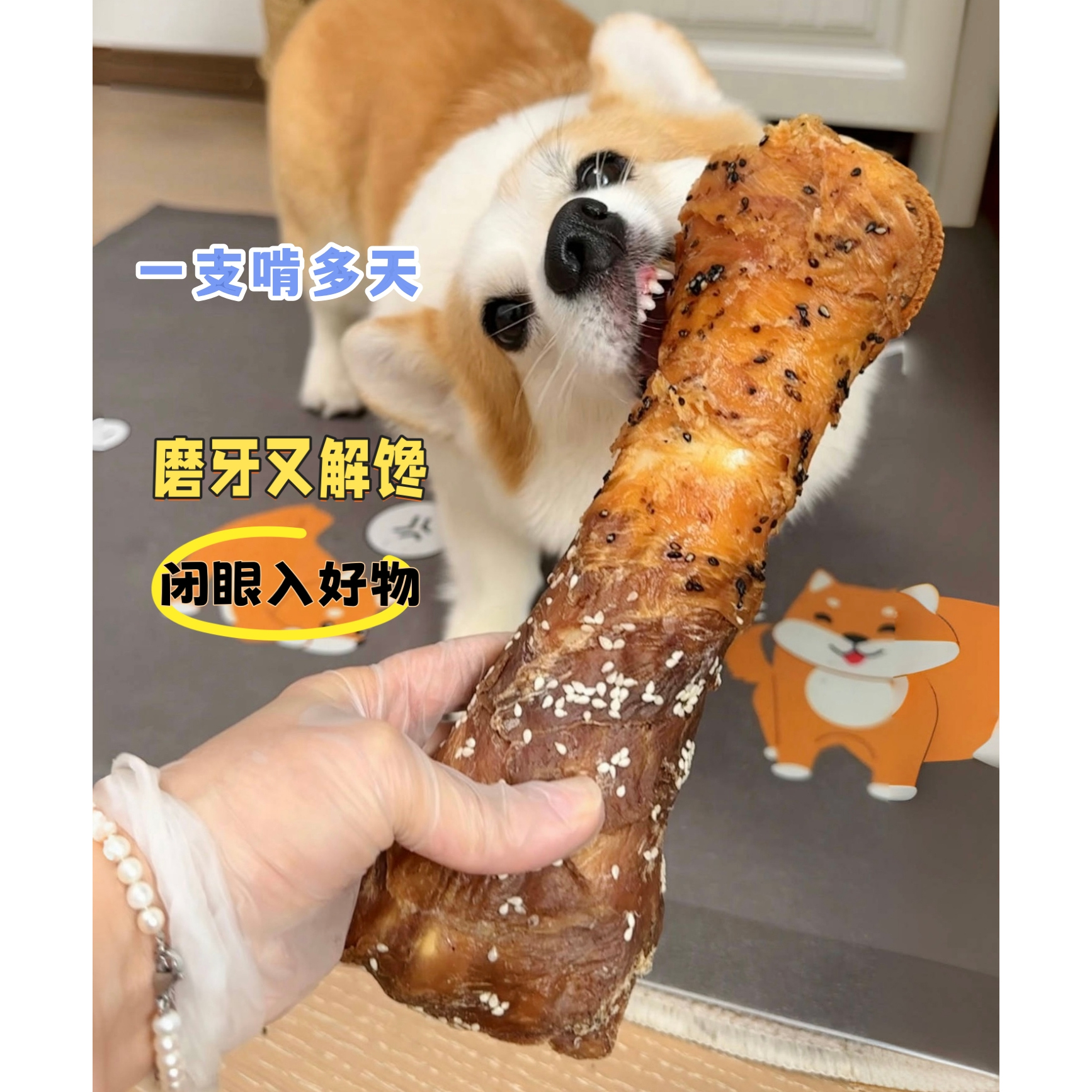 大狗咬几天小狗咬一个月解闷解馋